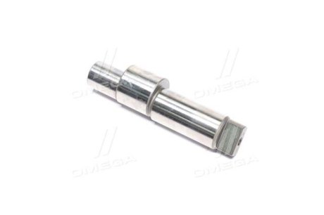 Элемент насоса Common Rail BOSCH F01M100285