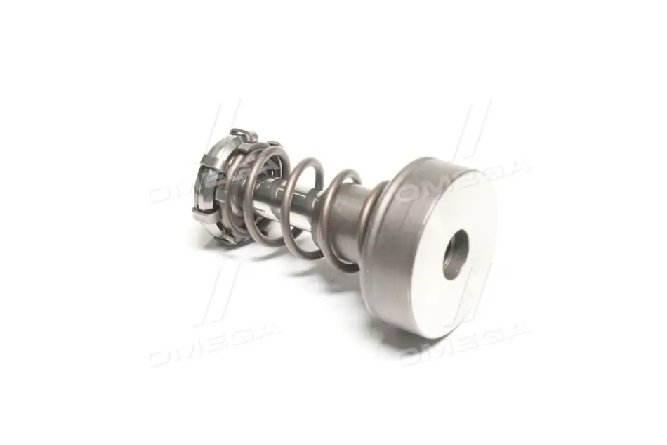 Поршень BOSCH F 01M 101 347 (фото 1)