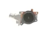 Помпа води Ford Fiesta II/III/Escort III/IV/V/VI/VII 1.3/1.4/1.6 81-00 (20z) (B/B) (8 лоп.) BUGATTI PA0243 (фото 3)