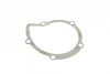 Помпа води Citroen C4/C5/C8/Jumpy/Fiat Scudo/Peugeot 308/407/Ford Focus 2.0HDI 06-(B/B)(24лоп) BUGATTI PA10170 (фото 6)