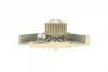 Помпа води Citroen C4/C5/C8/Jumpy/Fiat Scudo/Peugeot 206/307/406 1.8/2.0/2.2 99- BUGATTI PA10233 (фото 3)