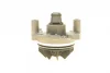 Помпа води Renault Master/Trafic/Laguna/Opel Vivaro/Movano/Nissan 2.2dCi/2.5dCi 00- (B/B)(8лоп) BUGATTI PA7724 (фото 6)