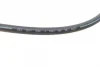 Шланг гальмівний (передній) BMW 5 (E34)/7 (E32)/8 (E31) 1.8-5.6 86-99 M20/M40/M43/M50 CAVO Cavo C800 509A (фото 2)