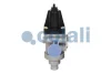 Регулятор тиску 9,5Бар, M22x1,5 IVECO EUROCARGO I-III, EUROTECH MT, M, P/PA, TURBOSTAR, ZETA 03.84-09.15 COJALI 2228209 (фото 4)