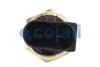 Датчик тиску масла MERCEDES ACTROS, ACTROS MP2 / MP3, ACTROS MP4 / MP5, AROCS, ECONIC, UNIMOG 471.943-OM936.916 04.96- COJALI 2260262 (фото 2)