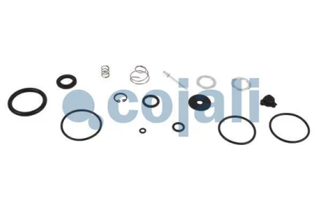 Ремкомплект сепаратора рідини MERCEDES LK/LN2, MK, NG, O 405, O 407, SK 08.73- COJALI 6012229