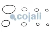 Ремкомплект робочого циліндра зчеплення COJALI 6032126 (фото 3)