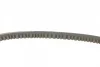 Ремінь генератора VW Caddy/Golf/Passat 1.6-2.0 91-99/Seat Ibiza/Toledo 1.6/2.0 93-02 CONTINENTAL Contitech 11,5X685Ld (фото 2)