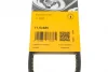 Ремінь генератора VW Caddy/Golf/Passat 1.6-2.0 91-99/Seat Ibiza/Toledo 1.6/2.0 93-02 CONTINENTAL Contitech 11,5X685Ld (фото 6)