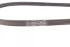Ремінь генератора Citroen Jumper/Fiat Ducato/Peugeot Boxer 3.0HDi/D 06- CONTINENTAL Contitech 4PK1102 ELAST (фото 3)