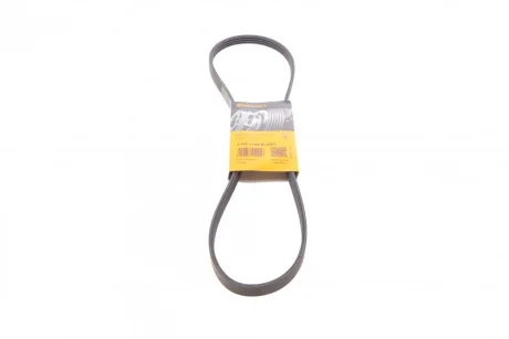 Ремінь генератора Citroen Jumper/Fiat Ducato/Peugeot Boxer 3.0HDi/D 06- CONTINENTAL Contitech 4PK1102 ELAST