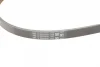 Ремінь генератора Audi A4/A6 2.5TDI 00-05/ Peugeot 205/305/309 1.9-2.5 TD 90-94 CONTINENTAL Contitech 4PK1217 (фото 3)
