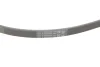Поліклиновий ремінь (4PK1325) LAND ROVER DEFENDER, DISCOVERY I 2.5D 10.89-12.98 Contitech 4 PK 1325 (фото 4)