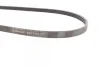 Ремінь генератора Ford Kuga II/Focus III 2.0-2.5 12- CONTINENTAL Contitech 4PK1360 (фото 2)