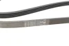 Поліклиновий ремінь (4PK1366) FORD GALAXY III, KUGA II, MONDEO V, S-MAX FORD USA ESCAPE, FUSION MAN TGL I, TGM I 2.0-6.9D 01.04-12.23 Contitech 4 PK 1366 (фото 2)