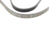 Ремень генератора поликлиновый CONTINENTAL Contitech 4PK1366 (фото 3)