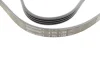 Поліклиновий ремінь (4PK1366) FORD GALAXY III, KUGA II, MONDEO V, S-MAX FORD USA ESCAPE, FUSION MAN TGL I, TGM I 2.0-6.9D 01.04-12.23 Contitech 4 PK 1366 (фото 3)