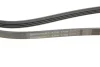 Поліклиновий ремінь (4PK1708) DAIHATSU SIRION, YRV TOYOTA PLATZ, YARIS 1.0/1.3 04.99- Contitech 4 PK 1708 (фото 4)