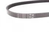 Поліклиновий ремінь (4PK611) HYUNDAI ACCENT, ACCENT I, ACCENT II, GETZ, LANTRA II BMW R 1.1-1.6 1993-06.09 Contitech 4 PK 611 (фото 3)