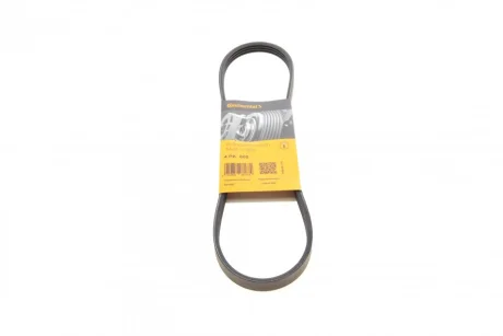 Ремінь генератора Honda Civic VI/Nissan Primera/Citroen Berlingo 1.4-1.6 16V 94-05 CONTINENTAL Contitech 4PK800