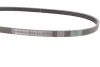 Ремінь генератора Nissan Primera 93-01/Peugeot 205/309 85-98/Hyundai Accent 1.1-1.6 95-10 CONTINENTAL Contitech 4PK815 (фото 2)