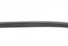 Ремінь генератора Honda Accord/Civic 1.4-1.6/Toyota Corolla/Avensis 1.3/1.6/1.8 92-02 CONTINENTAL Contitech 4PK820 (фото 2)