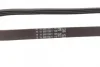 Ремінь генератора BMW 3 (E90)/5 (E60)/7 (E65/E66/E67) 2.5/3.0D 02-11 (4PK850) CONTINENTAL Contitech 4PK850 ELAST (фото 3)