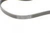 Ремінь генератора Skoda SuperB 01-08/VW Passat B5/Hyundai Accent 95-05/Tucson/Kia Sportage/Ceed 04- CONTINENTAL Contitech 4PK855 (фото 3)