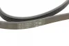 Ремінь генератора BMW 3 (E46/E90)/5 (E60)/6 (E63)/X3 (E83)/X5 (E53) 03-11 CONTINENTAL Contitech 4PK860 ELAST (фото 3)