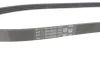 Ремінь генератора Renault Clio 1.2 16V 12- (4PK865) CONTINENTAL Contitech 4PK865 ELAST (фото 4)