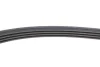Ремінь генератора Renault Clio 1.2 16V 12- (4PK865) CONTINENTAL Contitech 4PK865 ELAST (фото 5)
