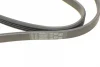 Ремінь генератора BMW 5 (E60)/X3 (E83/)X5 (E70)/X6 (E71/E72) 04-13 CONTINENTAL Contitech 4PK867 ELAST (фото 4)