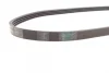 Ремінь генератора Mazda 323 1.3-1.8 89-04/BMW 3 (E46)/7 (E65/E66/E67) 3.0d 02-05/Kia Rio 1.5 00-05 CONTINENTAL Contitech 4PK885 (фото 2)