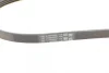 Ремінь генератора Hyundai Tucson/i30/Kia Sportage/Carens/Ceed/Suzuki Grand Vitara 04-/Audi/BMW/Mazda CONTINENTAL Contitech 4PK890 (фото 4)