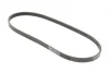 Ремінь генератора Hyundai Tucson/i30/Kia Sportage/Carens/Ceed/Suzuki Grand Vitara 04-/Audi/BMW/Mazda CONTINENTAL Contitech 4PK890 (фото 5)