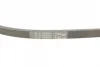 Ремінь генератора Honda CR-V 2.0 16V 4WD 95-02/Subaru Forester/Impreza/Legacy 1.5-2.5 92-09 CONTINENTAL Contitech 4PK895 (фото 4)