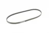 Ремінь генератора Honda CR-V 2.0 16V 4WD 95-02/Subaru Forester/Impreza/Legacy 1.5-2.5 92-09 CONTINENTAL Contitech 4PK895 (фото 5)