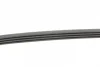 Ремінь генератора Renault Kangoo/Clio 1.2i 97-/Fiat Scudo 1.6i 96-06/Nissan Kubistar 1.2 03- CONTINENTAL Contitech 4PK905 (фото 2)