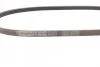 Ремінь генератора Toyota Yaris 99-14/Corolla 92-95/Mazda Premacy 99-05/626 91-02/323 98-04 Contitech 4PK920 (фото 2)