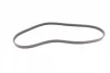 Ремінь генератора Fiat Fiorino 1.4/1.6i 93-01/Mitsubishi Galant 1.8/2.0 87-03/Toyota Hilux 2.4 97-05 CONTINENTAL Contitech 4PK938 (фото 5)