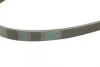 Ремінь генератора BMW 3 (E46)/5 (G30/F90)/7 (G11/G12)/X3 (G01/F97)/X5 (G05)/Kia Rio 00-05 CONTINENTAL Contitech 4PK970 (фото 4)