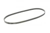 Ремінь генератора BMW 3 (E46)/5 (G30/F90)/7 (G11/G12)/X3 (G01/F97)/X5 (G05)/Kia Rio 00-05 CONTINENTAL Contitech 4PK970 (фото 5)