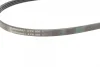 Поліклиновий ремінь (4PK990) CHERY TIGGO FORD ESCORT V, ESCORT VI HYUNDAI LANTRA I, SANTAMO, SONATA II, SONATA III MAZDA 323 C V, 323 F V, 323 F VI, 323 III, 323 P V, 323 S V 1.3-6.7 11.84-12.09 Contitech 4 PK 990 (фото 2)