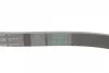 Ремінь генератора Mazda 323/626 1.8-2.0 97-02/Opel Astra G/Vectra B/C 2.0/2.2 00-08 CONTINENTAL Contitech 5PK1030 (фото 3)