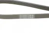 Ремінь генератора VW Touareg 4.2 FSI 06-18/Toyota Avensis/Camry/Corolla 1.8/2.0D 86-03 CONTINENTAL Contitech 5PK1120 (фото 4)
