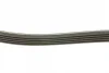 Ремінь генератора Volvo S40/S60/S80/V40/V60/V70/XC60/XC70 00- (5PK1121) CONTINENTAL Contitech 5PK1121 EXTRA (фото 2)