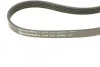 Ремінь генератора Volvo S40/S60/S80/V40/V60/V70/XC60/XC70 00- (5PK1121) CONTINENTAL Contitech 5PK1121 EXTRA (фото 3)