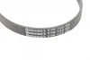Ремінь генератора Renault Trafic/Master/Laguna/Opel Movano/Vivaro 1.9dCi 01-/BMW 3 (E36) 3.0 92-98 CONTINENTAL Contitech 5PK1125 (фото 4)
