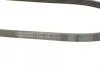 Ремінь генератора Renault Kangoo/Megane/Laguna 1.4/1.5 dCi/1.6 03-/Audi A6 4.2FSI 06-11 CONTINENTAL Contitech 5PK1135 (фото 3)