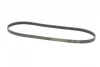 Ремінь генератора Renault Kangoo/Megane/Laguna 1.4/1.5 dCi/1.6 03-/Audi A6 4.2FSI 06-11 CONTINENTAL Contitech 5PK1135 (фото 4)
